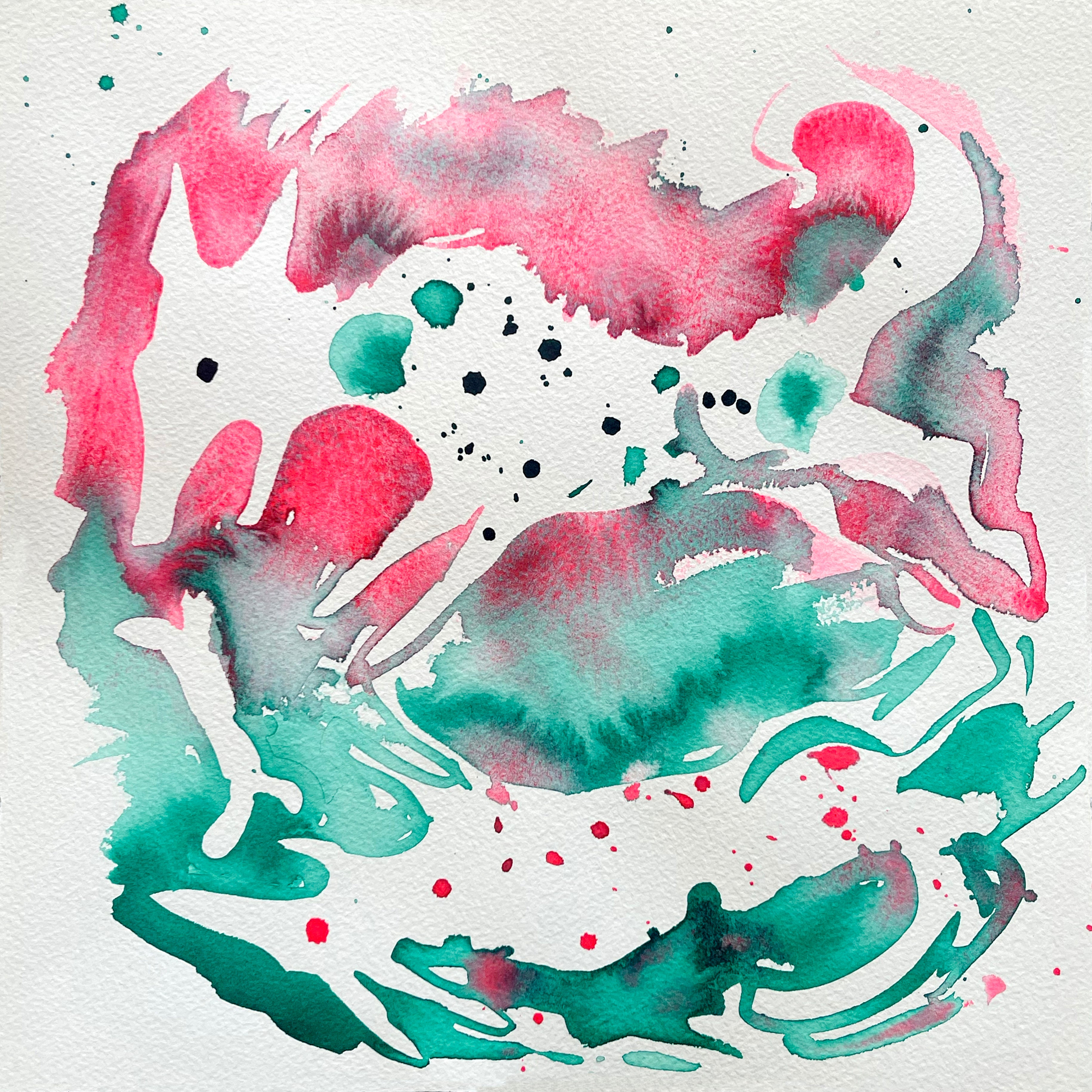 LE CHIEN ET SON OMBRE