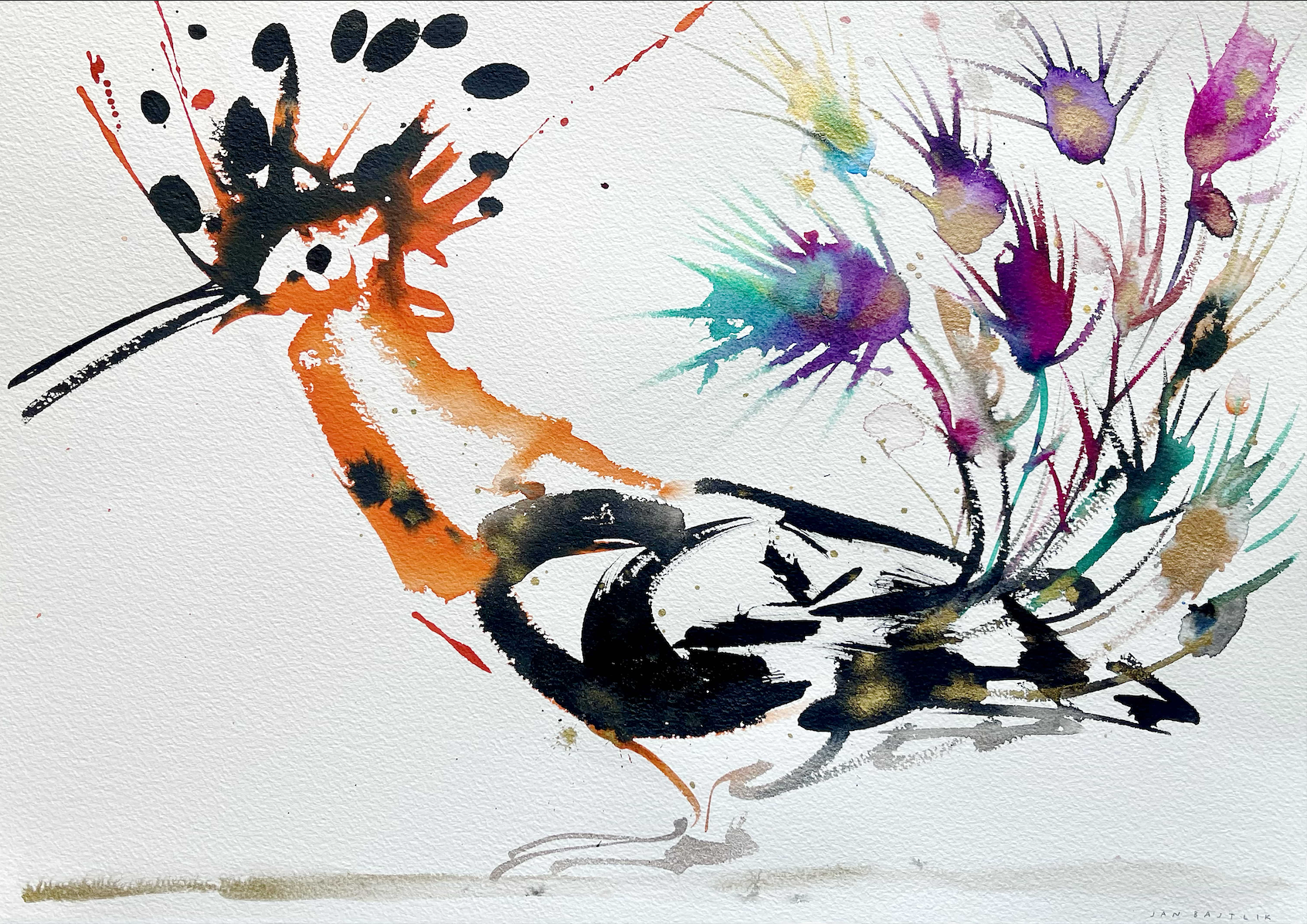 LE GEAI PARÉ DES PLUMES DU PAON