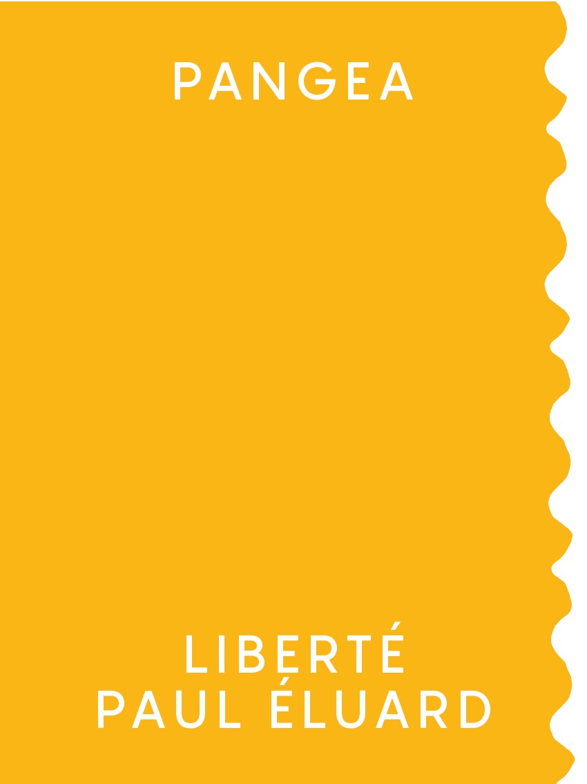 LIBERTÉ DE PAUL ÉLUARD - Miniature 5